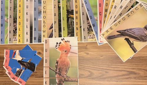 ZESTAW 182 PUZZLE PTAKI PRZYLATUJĄCE NA WIOSNĘ DO POLSKI. Pomoce gotowe do wysyłki.  