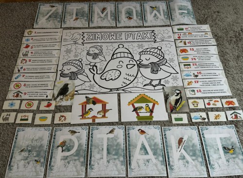 ZESTAW 198 ZASADY DOKARMIANIA PTAKÓW ZIMĄ - WIEDZA W PIGUŁCE + NAPISY+ PLAKTY I KOLOROWANKI XXL. Pomoce gotowe do wysyłki.    