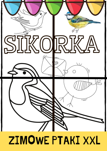 ZESTAW 201 ZIMOWYCH PTAKÓW - KOLORWANKI XXL. Pomoce gotowe do wysyłki.   