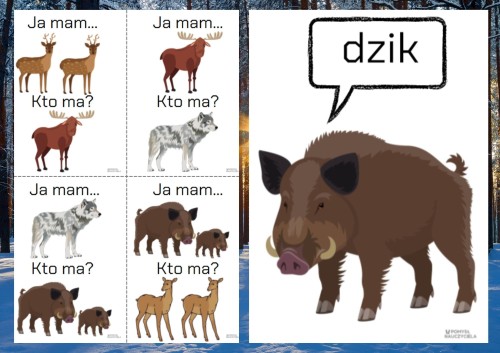 ZESTAW 202 ZWIERZĘTA ZIMUJĄCE W POLSCE. Pomoce gotowe do wysyłki.    