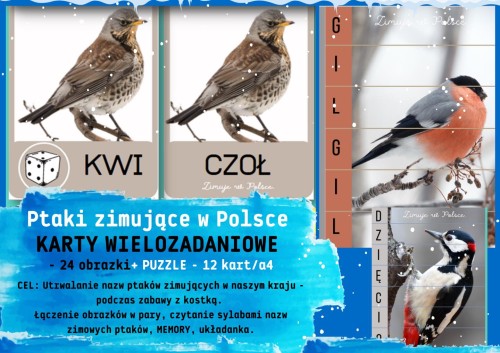 ZESTAW 203 KARTY WIELOZADANIOWE ZIMOWE PTAKI. Pomoce gotowe do wysyłki.    