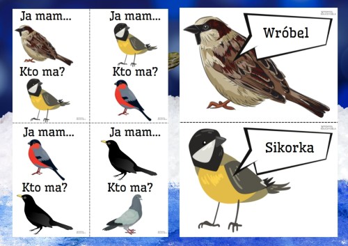 ZESTAW 205     JA MAM...KTO MA ? ZIMOWE PTAKI. Pomoce gotowe do wysyłki.  