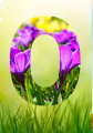 8.png