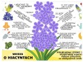 IMG_5964.jpeg