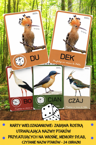 ZABAWA Z KOSTKĄ I Z WIOSENNYMI PTAKAMI 9 STRON 