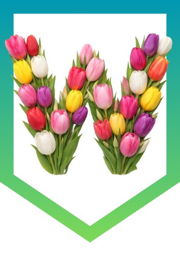  ZESTAW 330 POMOCE GOTOWE DO WYSYŁKI. POCZTA POLSKA. NAPIS WIOSNA TULIPANY Z ZIELONĄ RAMKĄ