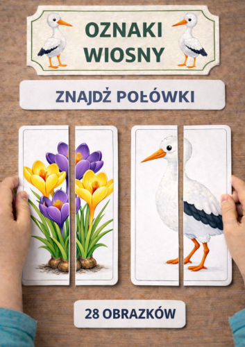 Kopia – DZIEŃ KOTA KOLOROWANKA XXL.png