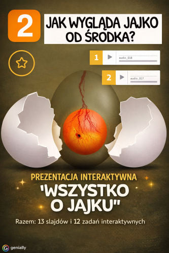 PREZENTAJCA INTERAKTYWNA "WSZYSTKO O JAJKU" 13 SLAJDÓW + 12 ZADAŃ INTERAKTYWNYCH 