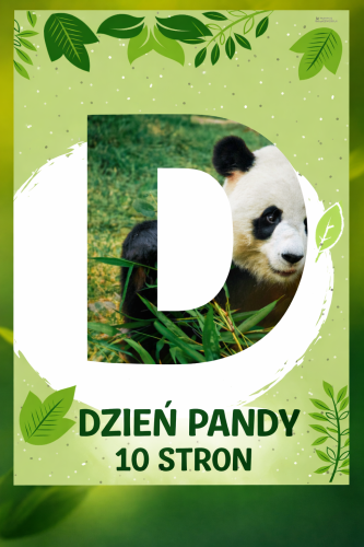 NAPIS DZIEŃ PANDY