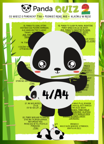 QUIZ DZIEŃ PANDY CZ. 1, 2 - 4 STRONY