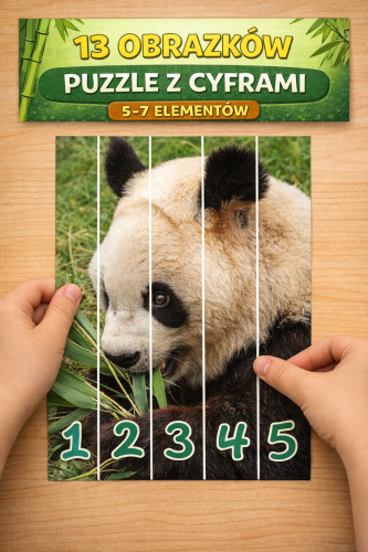 DZIEŃ PANDY PUZZLE Z CYFRAMI 5-7 ELEMENTÓW  13 OBRAZKÓW