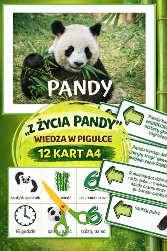 Z ŻYCIA PANDY -  WIEDZA W PIGUŁCE + KARTY KONTROLNE12 STRON 