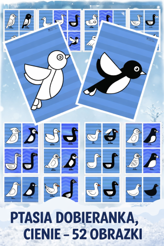 PTASIA DOBIERANKA CIENIE 52 OBRAZKI 