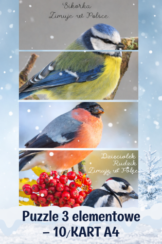 PUZZLE 3 ELEMENTOWE ZIMOWE PTAKI DLA MALUSZKA 10 OBRAZKÓW