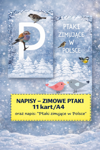 NAPISY: ZIMOWE PTAKI 11 STRON, PTAKI ZIMUJACE W POLSCE 1 STRONA 