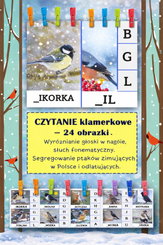 PTAKI - KARTY KLAMERKOWE 24 OBRAZKI