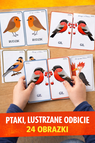 PTAKI LUSTRZANE ODBICIE - 24 OBRAZKI