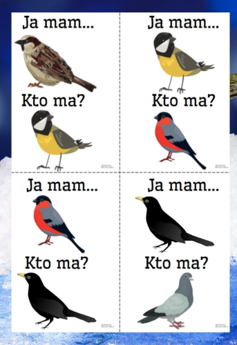 ZIMOWE PTAKI - JA MAM...KTO MA? 28 OBRAZKI + KARTY KONTROLNE 12 OBRAZKÓW