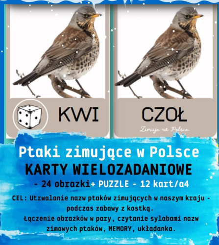 PAKIET KARTY WIELOZADANIOWE ZIMOWE PTAKI - 24 OBRAZKI