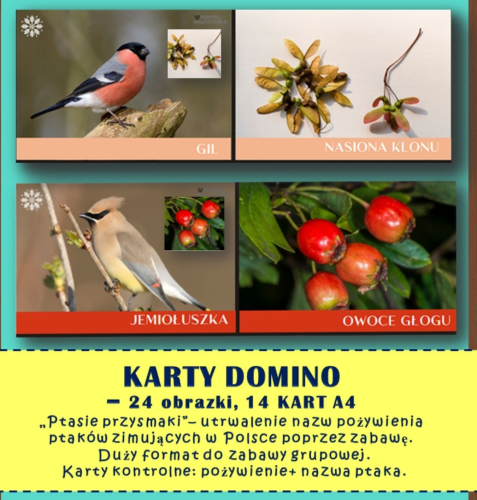 KARTY DOMINO PTASIE PRZYSMAKI , CZYLI ULUBIONE POŻYWIENIE  PTAKÓW  ZIMUJĄCYCH W POLSCE  24 OBRAZKI 
