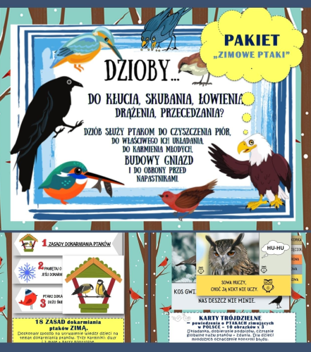 PAKIET ZIMOWE PTAKI XXL - 129 STRON 