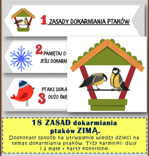 18 WAŻNYCH ZASAD DOKARMIANIA PTAKÓW W KARMNIKU 22 STRONY