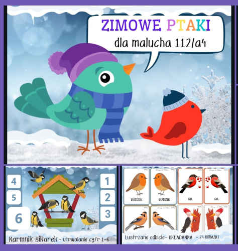 PAKIET - ZIMOWE PTAKI DLA MALUCHA 112 STRON 