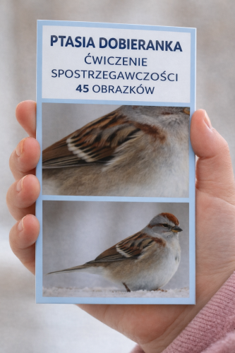 PTASIA DOBIERANKA ĆWICZENIE SPOSTRZEGAWCZOŚCI 45 OBRAZKÓW