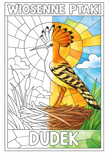 12 WIOSENNYCH PTAKÓW WITRAŻE