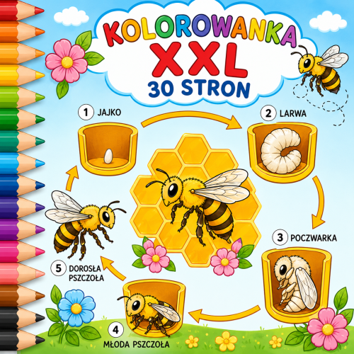 6F3F3332-67A6-40CF-8BB1-11BB33112A8E.png