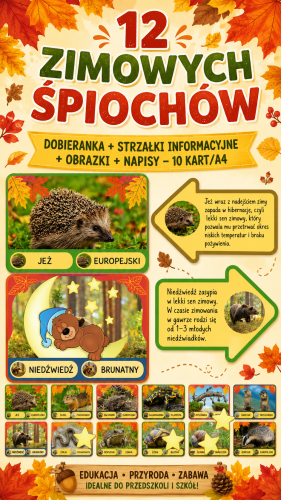 12 ZIMOWYCH ZIMOWYCH ŚPIOCHÓW - 24 OBRAZKI I 12 STRZAŁEK Z INFORMACJAMI