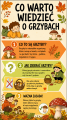 ChatGPT Image 23 lip 2026, 10_54_35.png