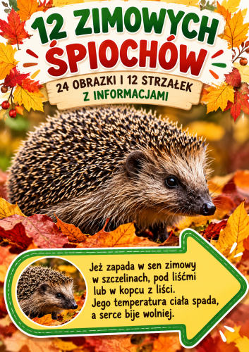 12 ZIMOWYCH ZIMOWYCH ŚPIOCHÓW - 24 OBRAZKI I 12 STRZAŁEK Z INFORMACJAMI