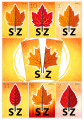 Jesienna układanka z liśćmi i sylabą SZ.png
