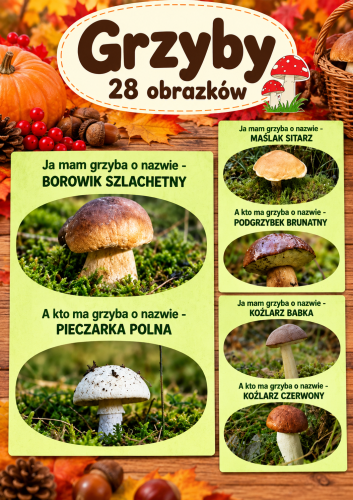 GRZYBY JADALNE KARTY DO GRY JA MAM...KTO MA? 28 KART