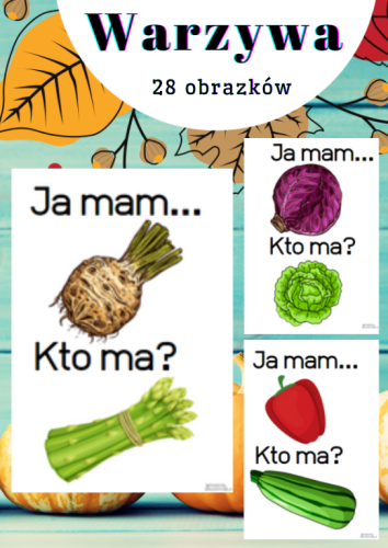 WARZYWA JA MAM...KTO MA? KARTY DO GRY - 28 KART