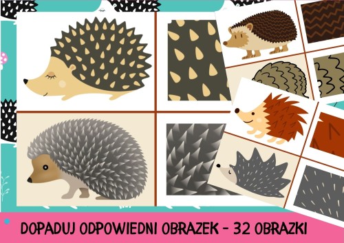 JEŻE - DOPASUJ ODPOWIEDNI OBRAZEK