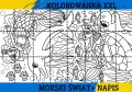 MORSKI ŚWIAT KOLOROWANKA XXL.jpg