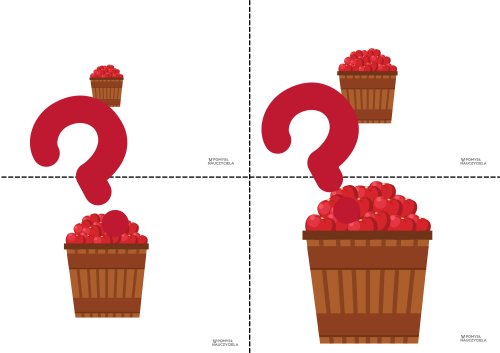 JABŁKA - UKŁADANIE WEDŁUG WIELKOŚCI 