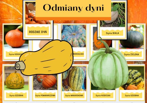 WhatsApp Image 2022-10-04 at 21.53.30 (2).jpeg