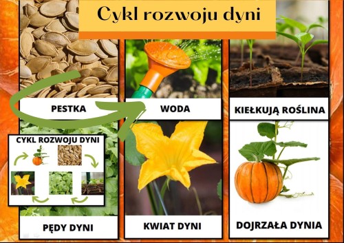 WhatsApp Image 2022-10-04 at 21.53.35.jpeg