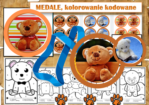 PROJEKT DZIEŃ PLUSZOWEGO MISIA (3).png