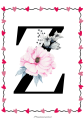 31 (1).png