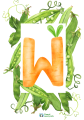 NAPIS WARZYWA.png