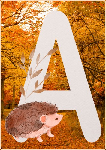 NAPIS PANI JESIEŃ.jpg