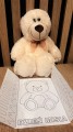 IMG_0212.jpeg