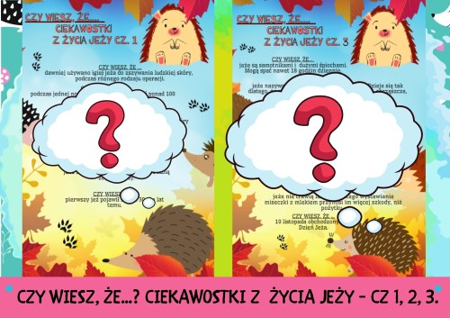 ZESTAW 155 CZY WIESZ, ŻE... CIEKAWOSTKI Z ŻYCIA JEŻY. Pomoce gotowe do wysyłki.           